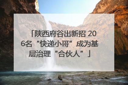 陕西府谷出新招 206名“快递小哥”成为基层治理“合伙人”